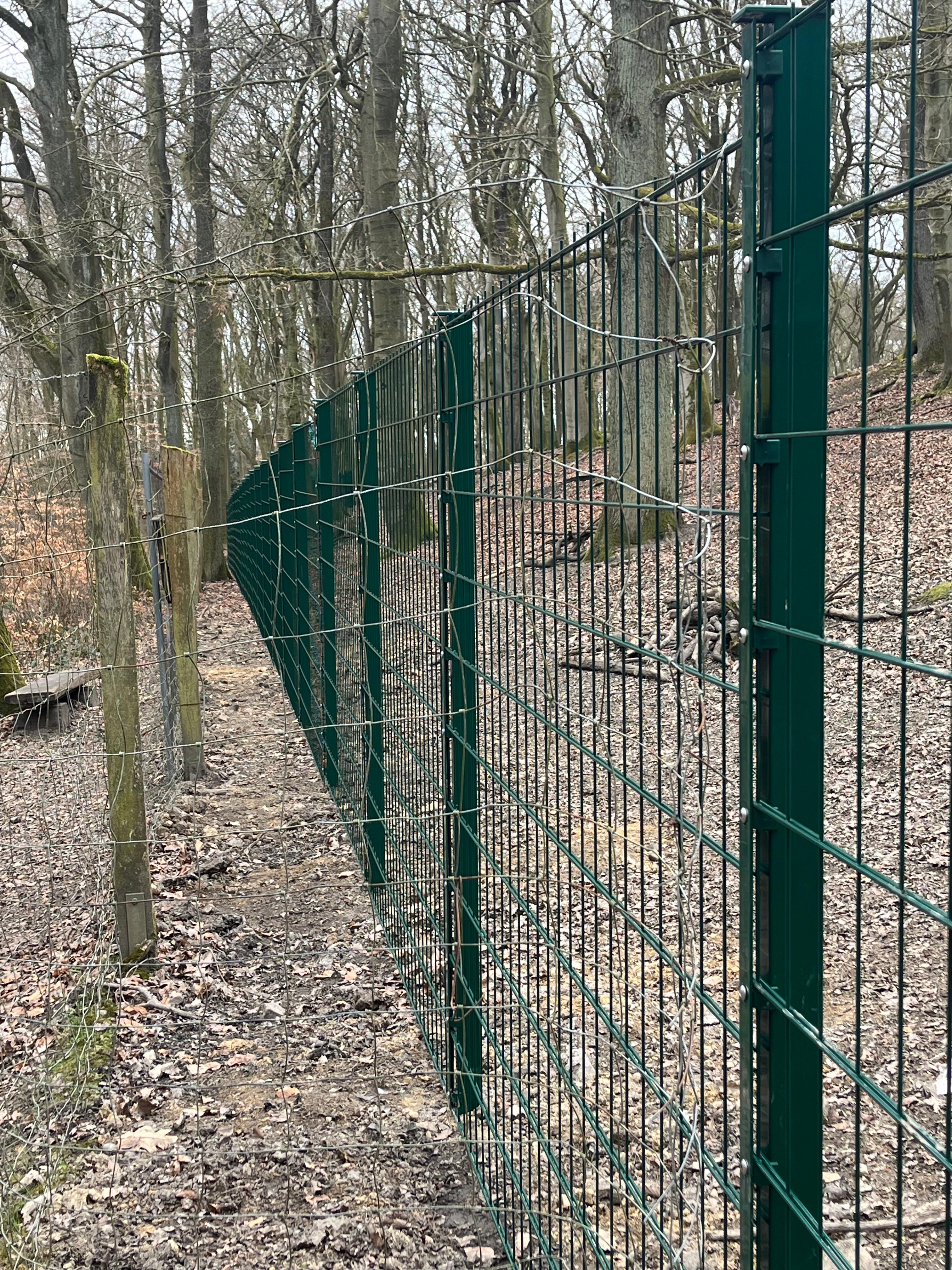 Wildgehege Hohenstein in Witten – Bild 1