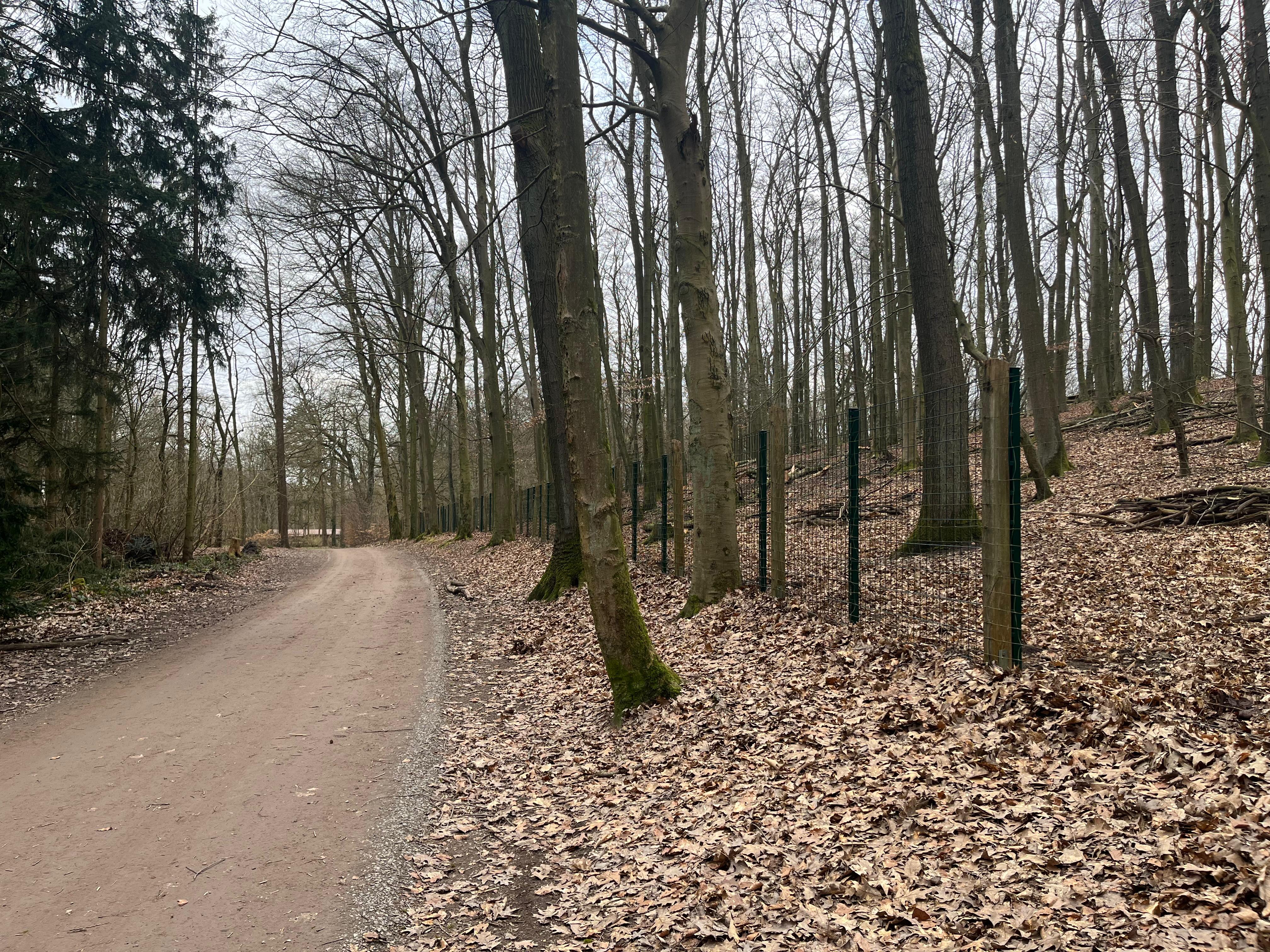 Wildgehege Hohenstein in Witten – Bild 2